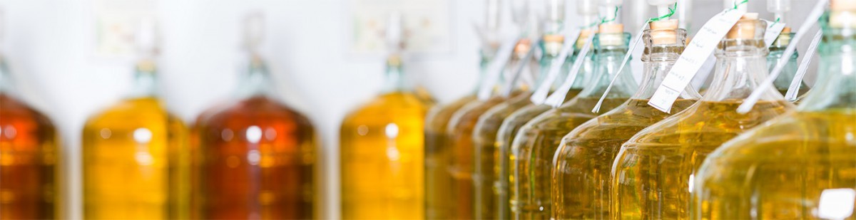 Rangée de bonbonnes en verre remplies de vin en fermentation, chacune identifiée par une étiquette