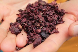 Man holding dried grape skins