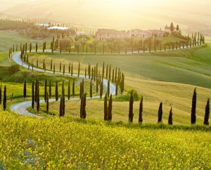 Sunny fields in Tuscany, Italy